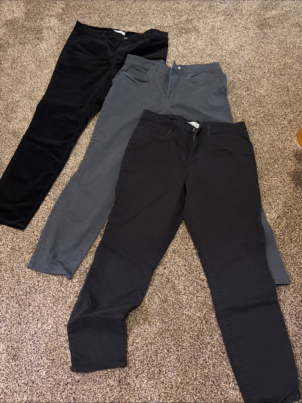 Loft Three-Pack Women's 5 pocket Pants - Black and Gray